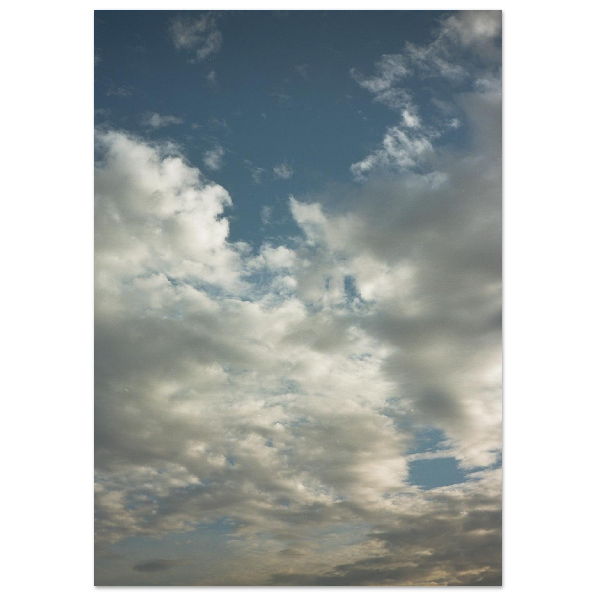 03af412b-bc38-4571-9a88-c012a272962c