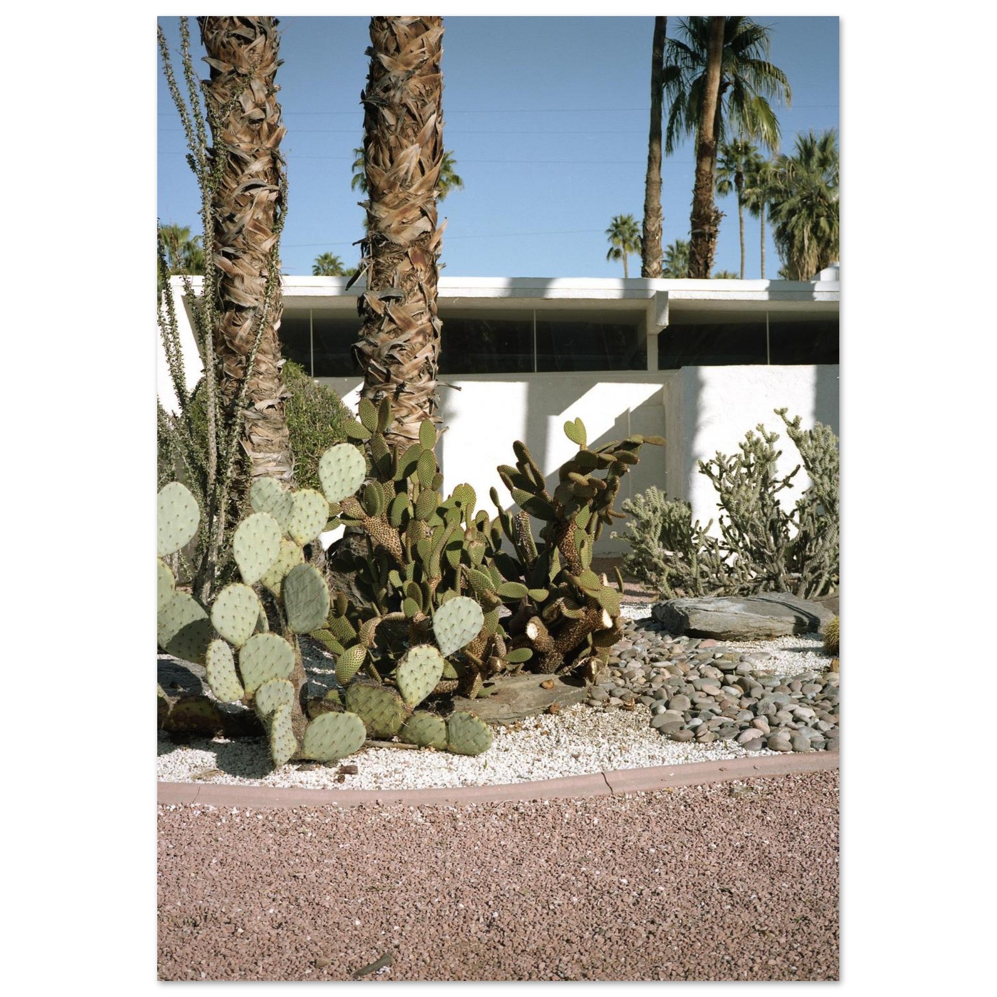 1e57f449-8d88-419f-a91c-ac917e565d2e